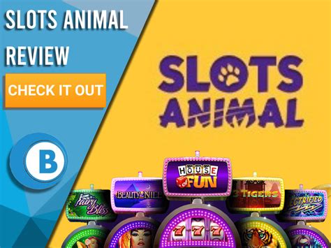 Slots animal casino Belize